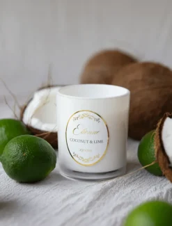 Scented Candles|Zjoosh Candle Collection*Zjoosh Candle Etienne Coconut u0026 Lime