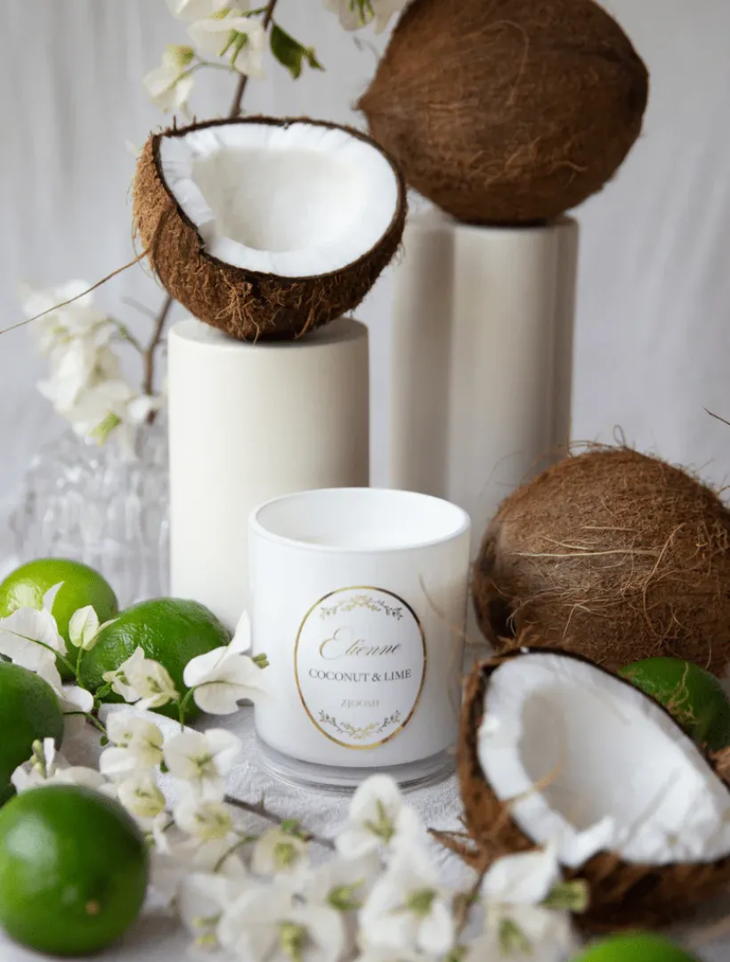 Scented Candles|Zjoosh Candle Collection*Zjoosh Candle Etienne Coconut u0026 Lime