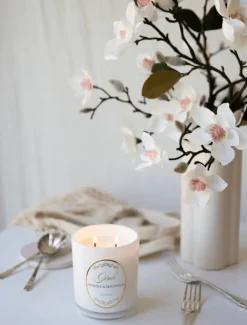 Scented Candles|Zjoosh Candle Collection*Zjoosh Candle Gisele Freesia u0026 Magnolia