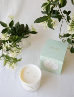 Scented Candles|Zjoosh Candle Collection*Zjoosh Candle Manon Jasmine Flower