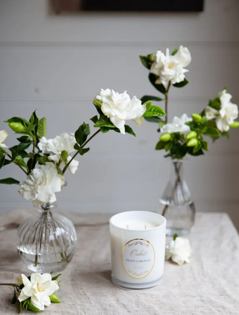 Scented Candles|Zjoosh Candle Collection*Zjoosh Candle Odette Night Gardenia