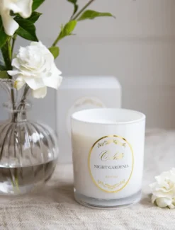 Scented Candles|Zjoosh Candle Collection*Zjoosh Candle Odette Night Gardenia