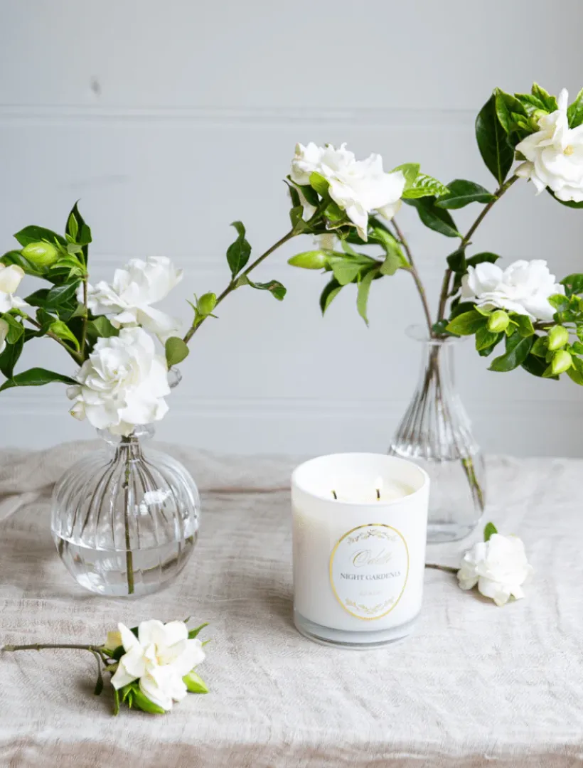 Scented Candles|Zjoosh Candle Collection*Zjoosh Candle Odette Night Gardenia
