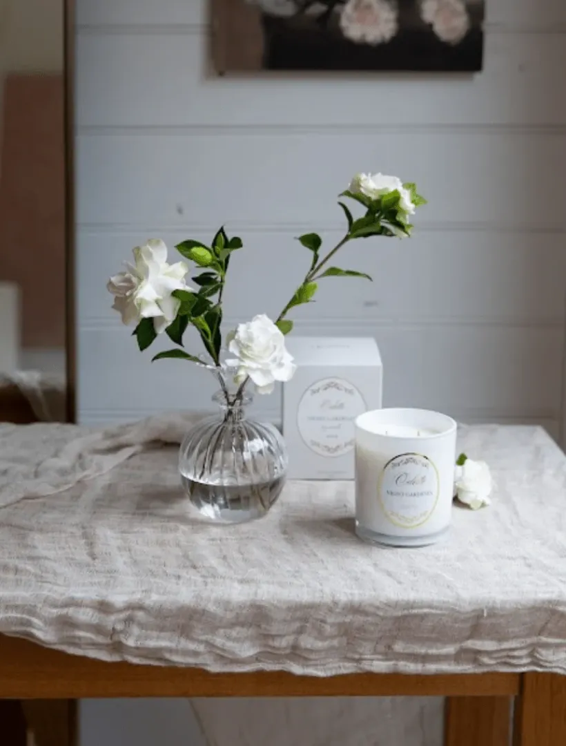 Scented Candles|Zjoosh Candle Collection*Zjoosh Candle Odette Night Gardenia